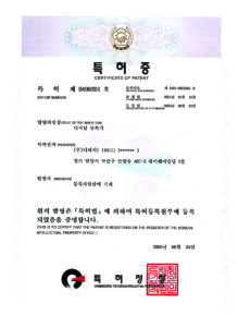 디지털증폭기